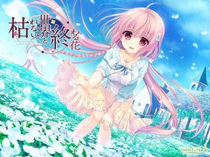 パッケージ画像