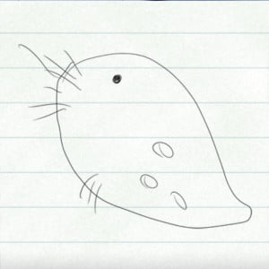 ノートに描かれたミジンコの絵