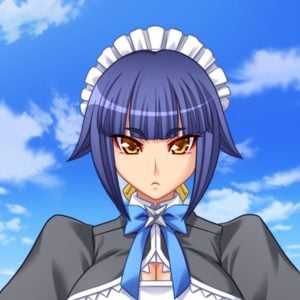 月影輝夜（地球上での仮の姿）