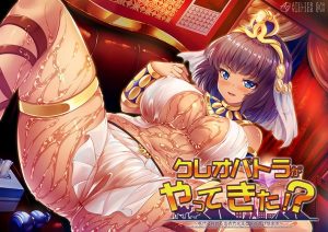 パッケージ画像