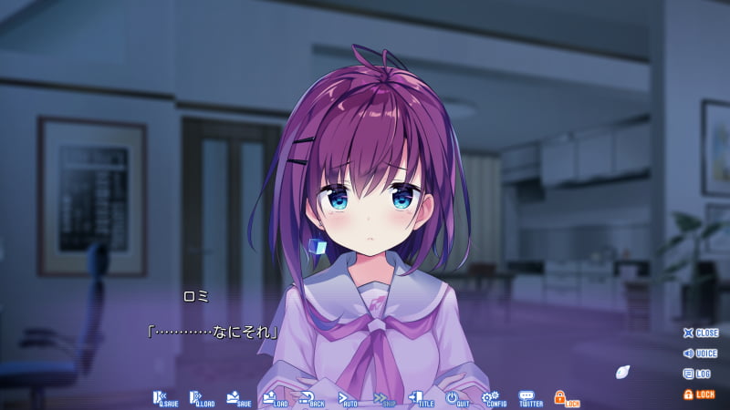 ロミ「…………なにそれ」