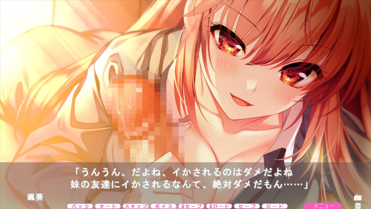 颯葵「うんうん、だよね、イかされるのはダメだよね、妹の友達にイかされるなんて、絶対ダメだもん……」