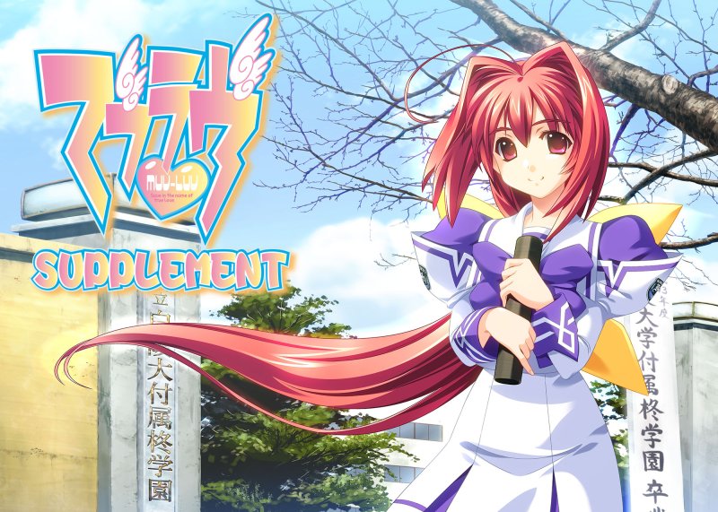 【マブラヴ サプリメント】のパッケージイラスト