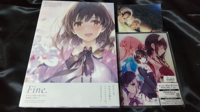 冴えない彼女の育てかた 深崎暮人画集 下 Fine.