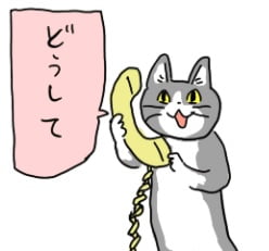 現場猫「どうして」