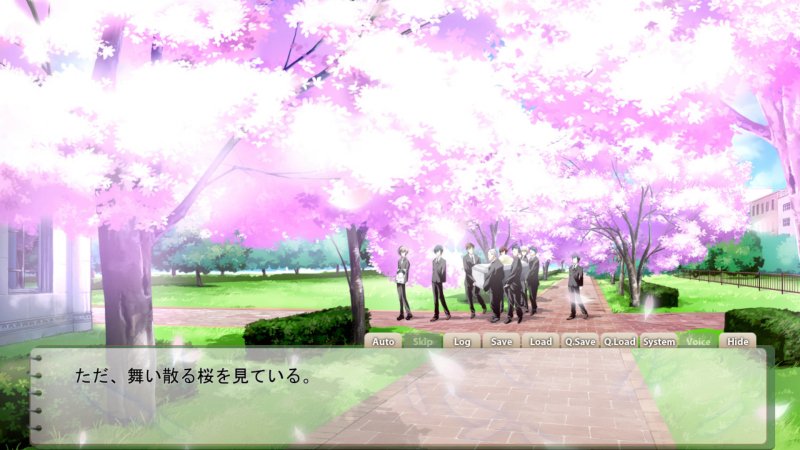 ただ、舞い散る桜を見ている。