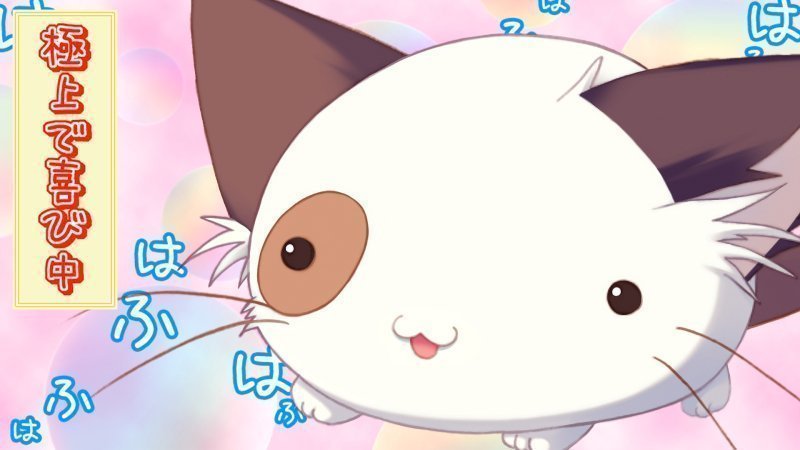 ぱんにゃ「極上で喜び中」