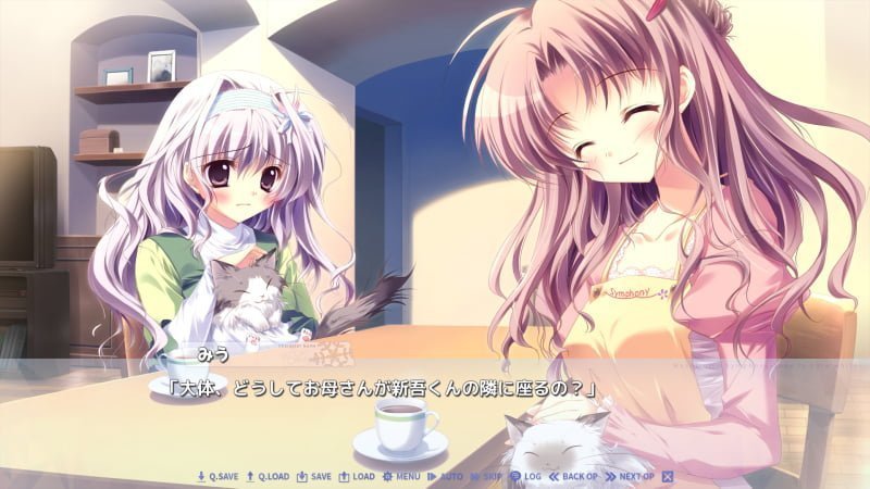 みう「大体、どうしてお母さんが新吾くんの隣に座るの？」