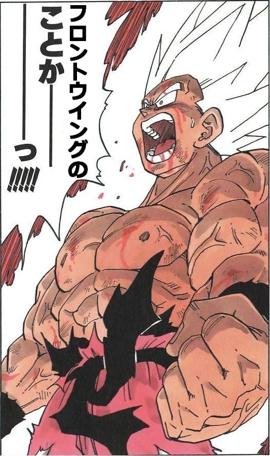 フロントウイングのことか――――――――っ!!!!!