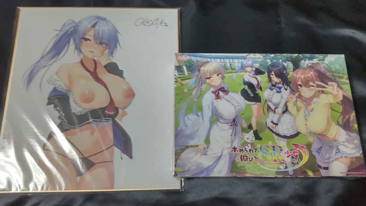【ホめられて伸びるSR少女たち】のパッケージ画像