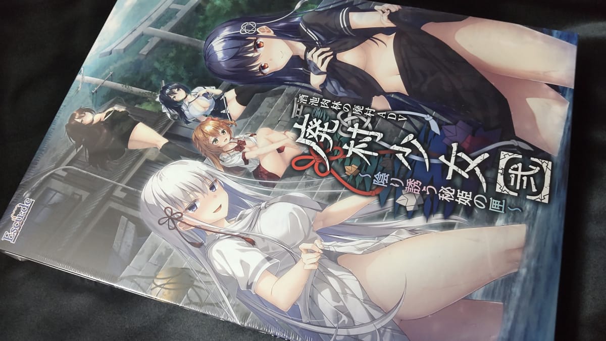 【廃村少女［弐］ ～陰り誘う秘姫の匣～】のパッケージ画像