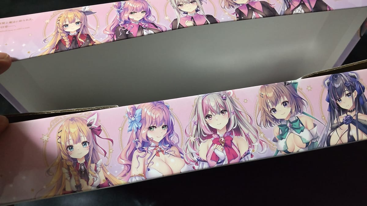 【宿りし乙女の誓いと魔法】のパッケージ側面開封時