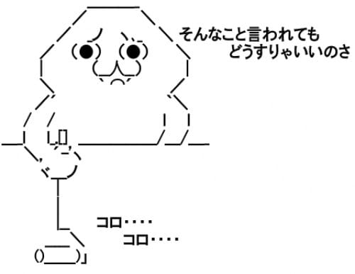 そんなこと言われてもどうすりゃいいのさ