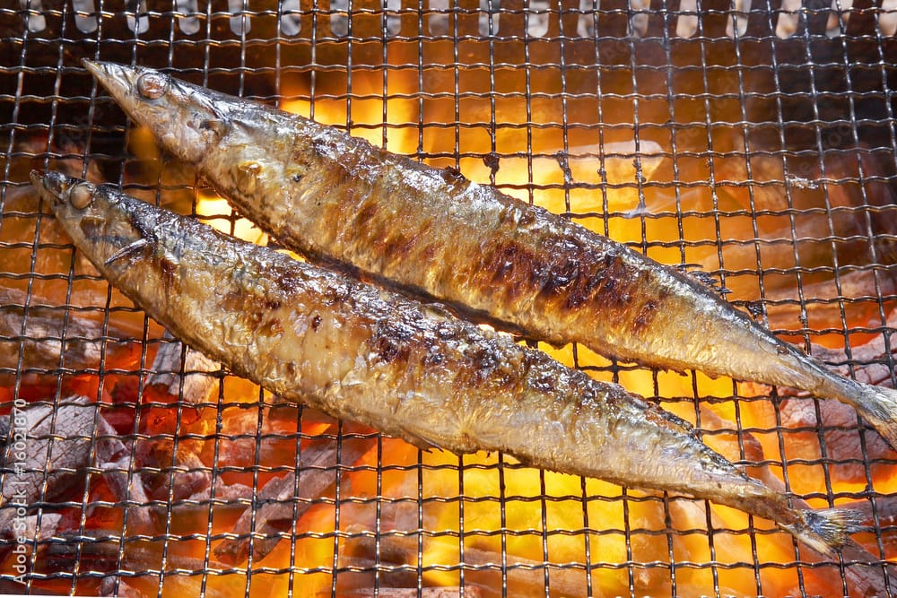 秋刀魚