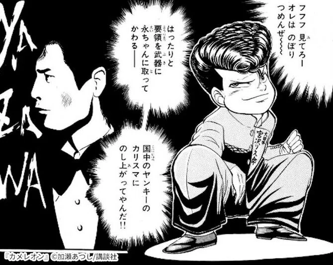 カメレオン（ヤンキー漫画）