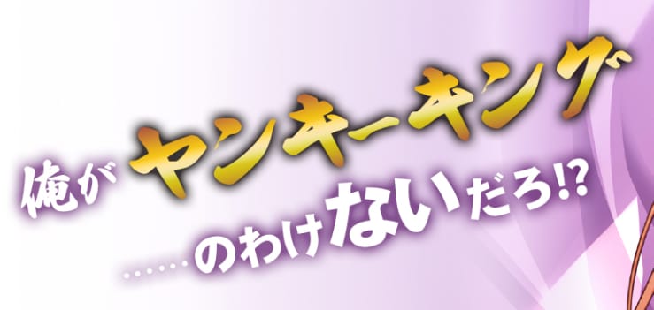 俺がヤンキーキング……のわけないだろ!?